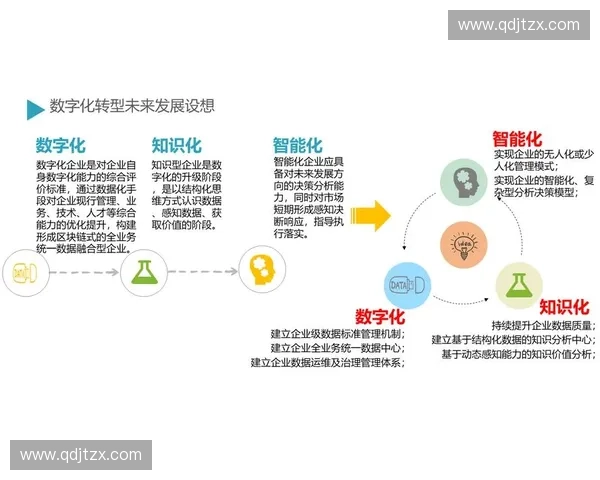 以数据化管理为核心推动组织高效决策与精细化运营新模式发展路径