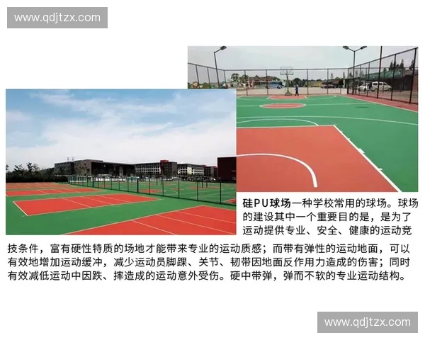 球场稳固钉的设计原理与提升运动场地安全性的创新研究